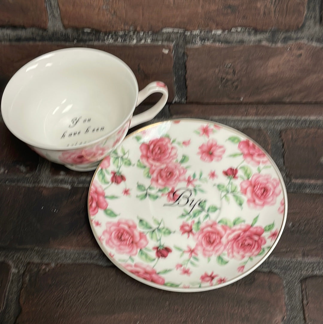 You've been Poisoned Tea Cup & Bye Saucer, White and pink Rose Floral Pattern